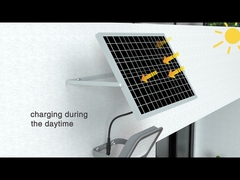 TK01 LED太陽光室外洪水照明 アルミニウムハウジング 高性能風景 ブリッジルックスチップ 2700-6500k