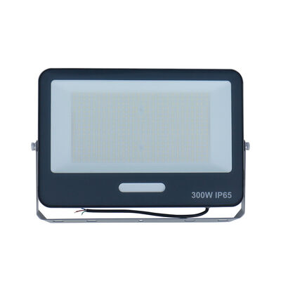 KCD モーションセンサ 屋外 防爆 LED 洪水灯 100W スマート 海洋 庭 洪水灯